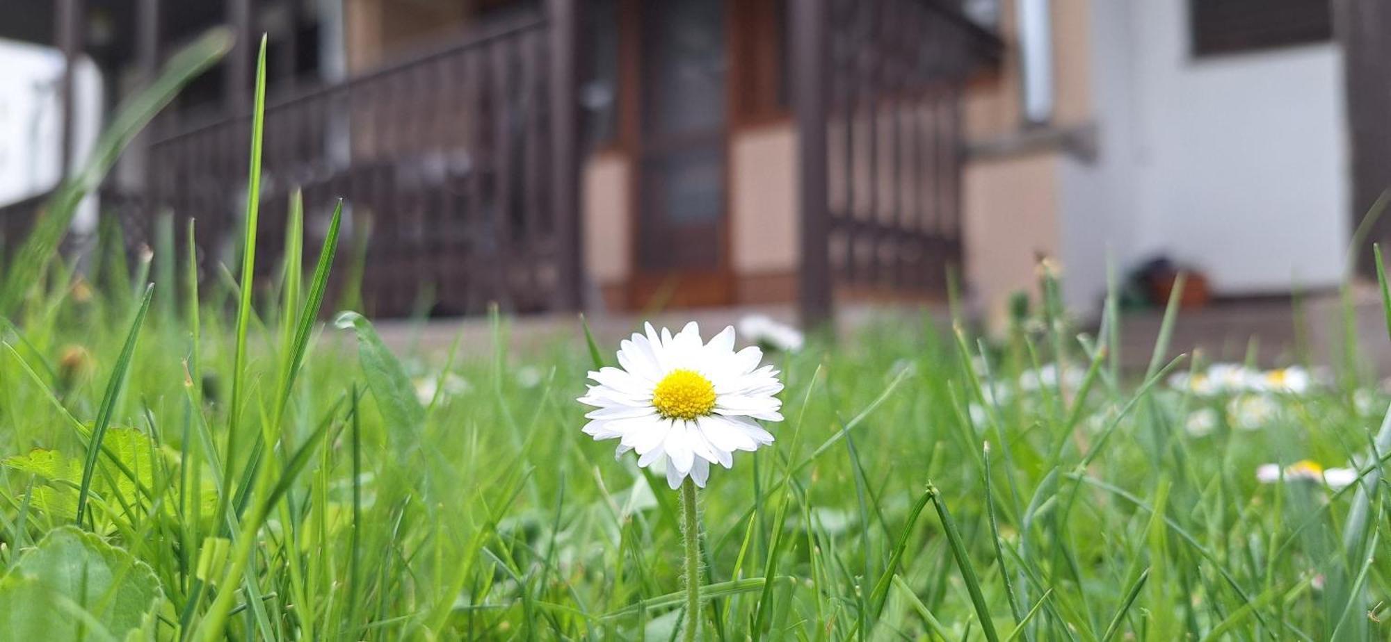 For You Apartman Gyula Exterior photo